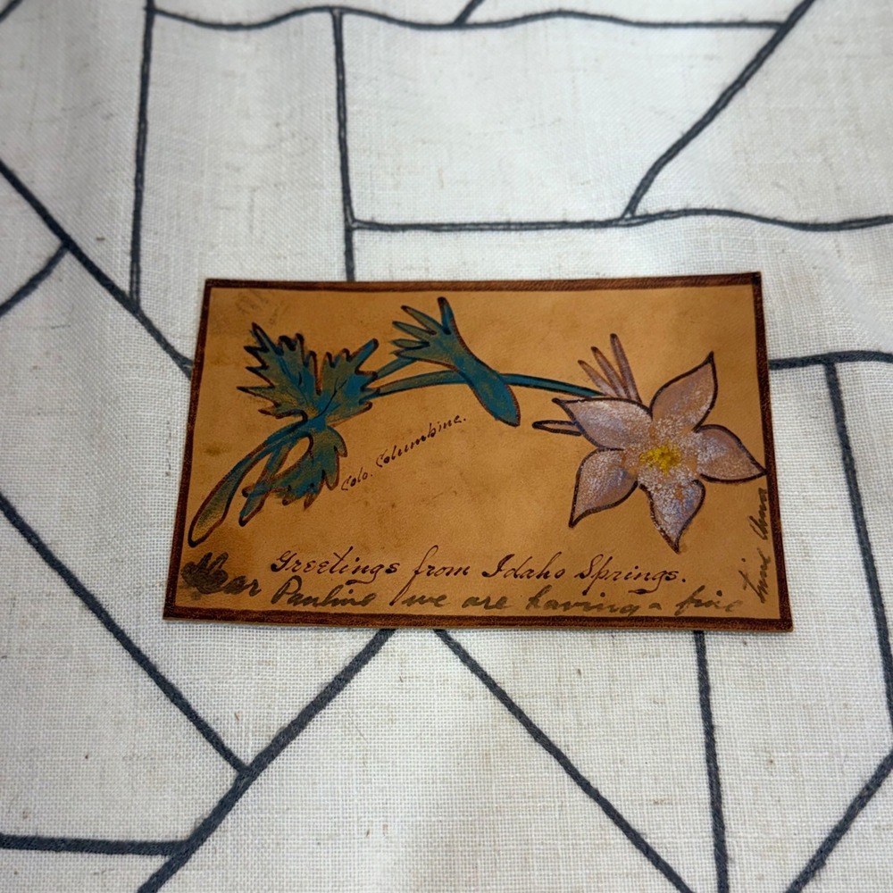 Antique Leather Postcard 1907 Idaho Springs Colorado Columbine Hand Painted 5x3